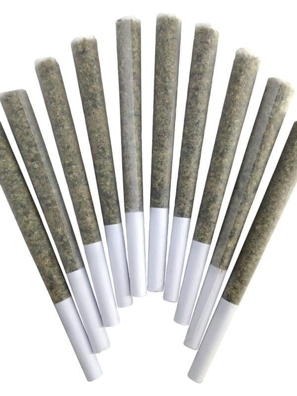 Blue Maui Pre-Rolls 10 Pack