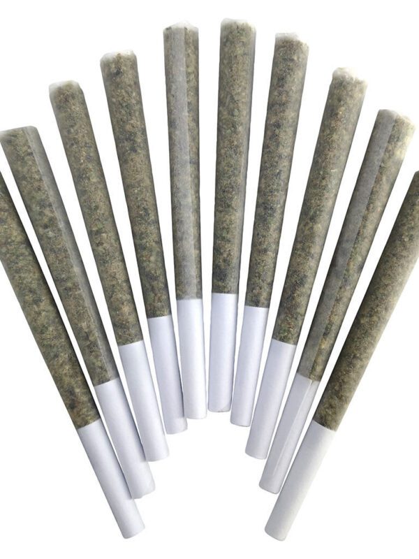 Blue Maui Pre-Rolls 10 Pack