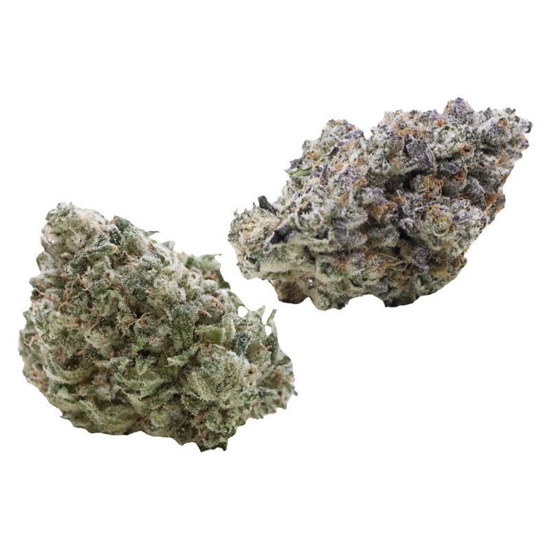 Variety Pack 14g Hybrid
