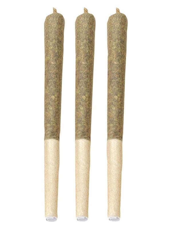 Chiquita Milkshake Pre-Rolls 3 Pack