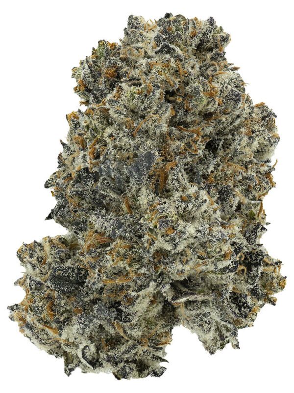 Dreamcatcher 28g by Crooked Dory