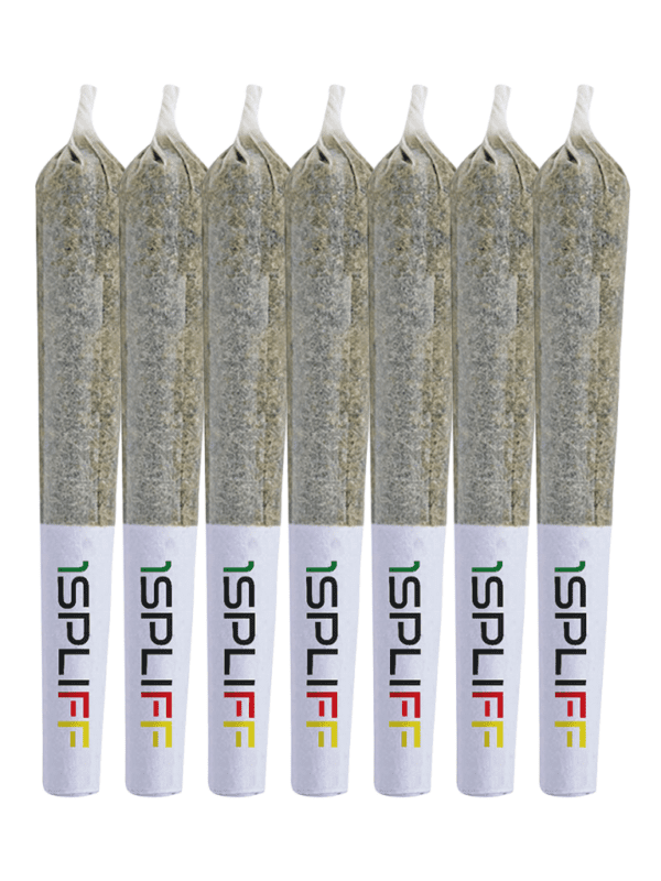Quantum Kush Pre-Rolls 7 Pack by 1Spliff