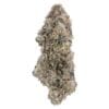 True Mints 7g by Northern Canna