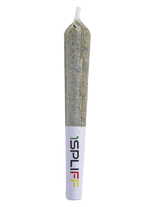 Quantum Kush Pre-Rolls 7 Pack by 1Spliff