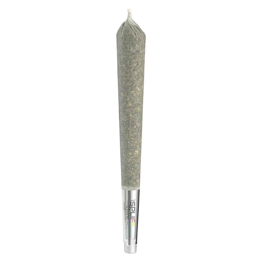 PineappleX Glass Tip Pre-Roll by 1Spliff