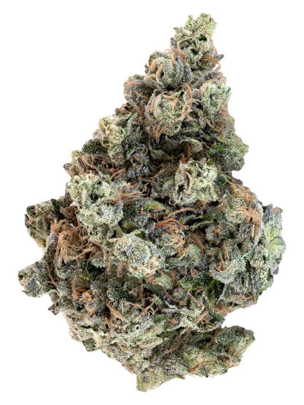 Country Club 7g by Woody Nelson