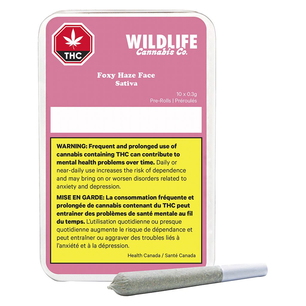 Foxy Haze Face Pre-Rolls 10 Pack <br>Sativa <br>30.6% | 3.97% Terps - Image 4