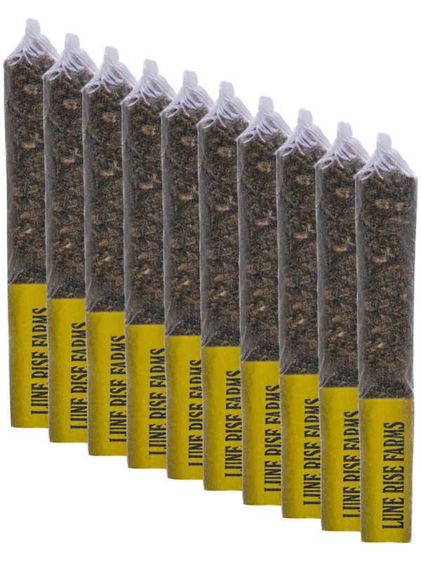 Farmers' Market Trail Walkers Pre-Rolls 10 Pack by Lune Rise Farms