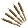 Citrus Haze Distillate Infused Pre-Rolls 5 Pack by General Admission