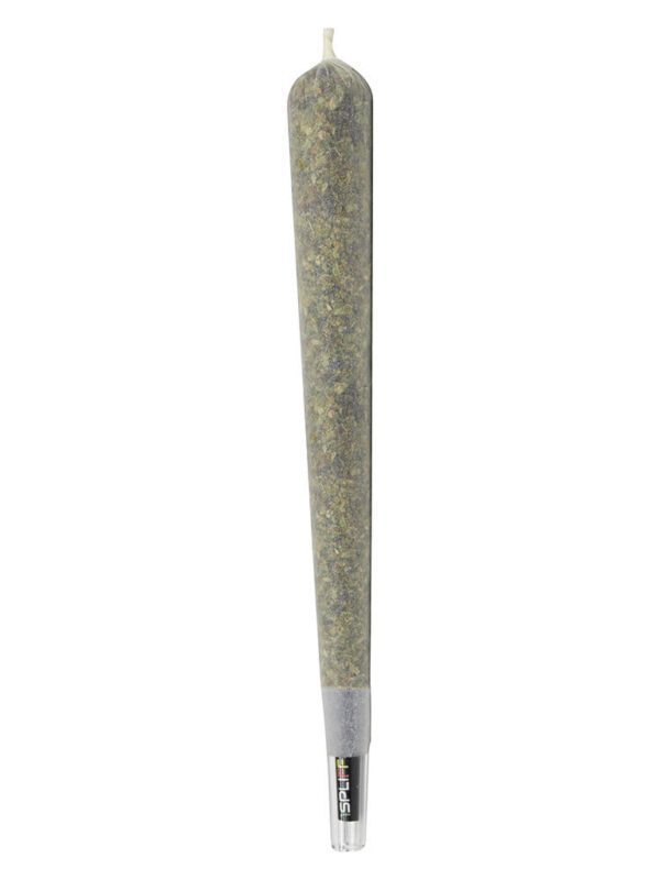 Javelin Premium Glass Tip Pre-Roll Single