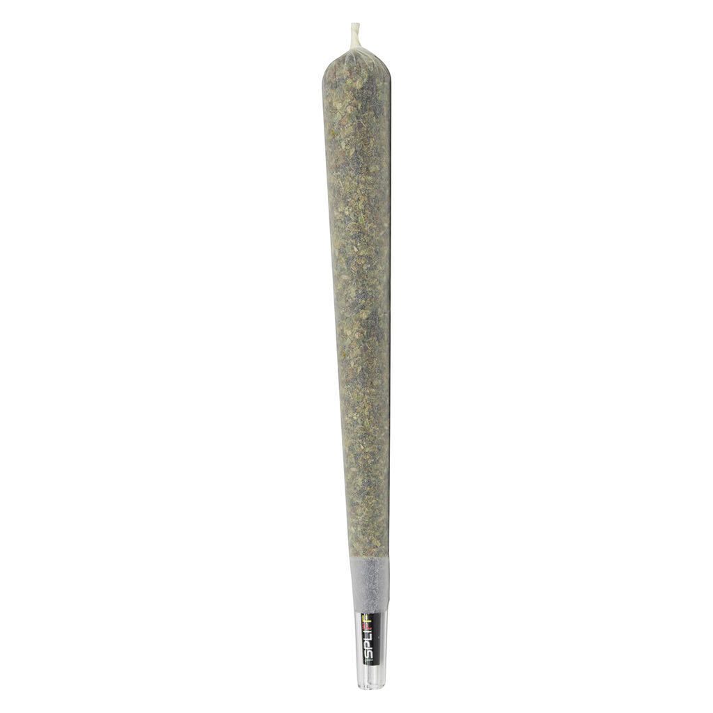 Javelin Premium Glass Tip Pre-Roll Single