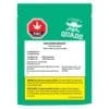 Dubai Chocolate Infused 1 Pack by Cannabis Cartel