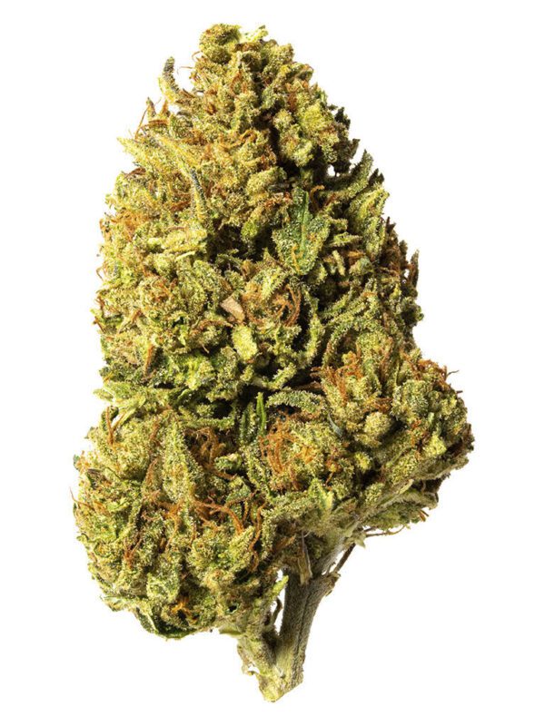 Bleuh Light CBD 3.5g <br>CBD <br>13.1% CBD <br>0.29% THC