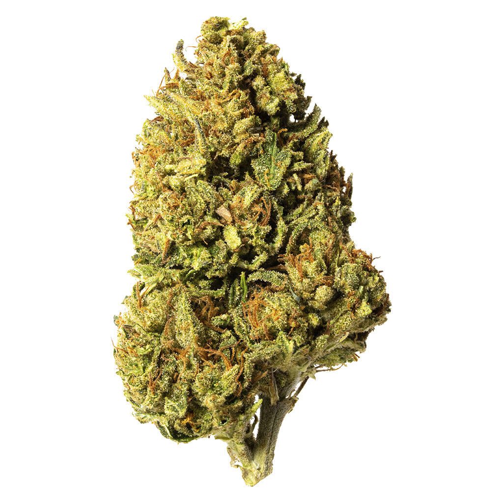Bleuh Light CBD 3.5g <br>CBD <br>13.1% CBD <br>0.29% THC