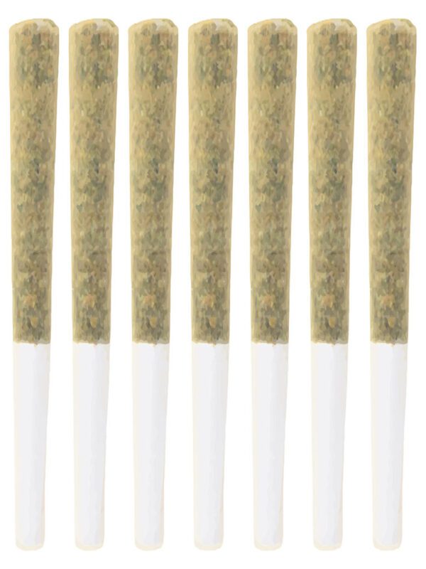 Craft Batch Pre-Rolls 7 Pack by Symphony
