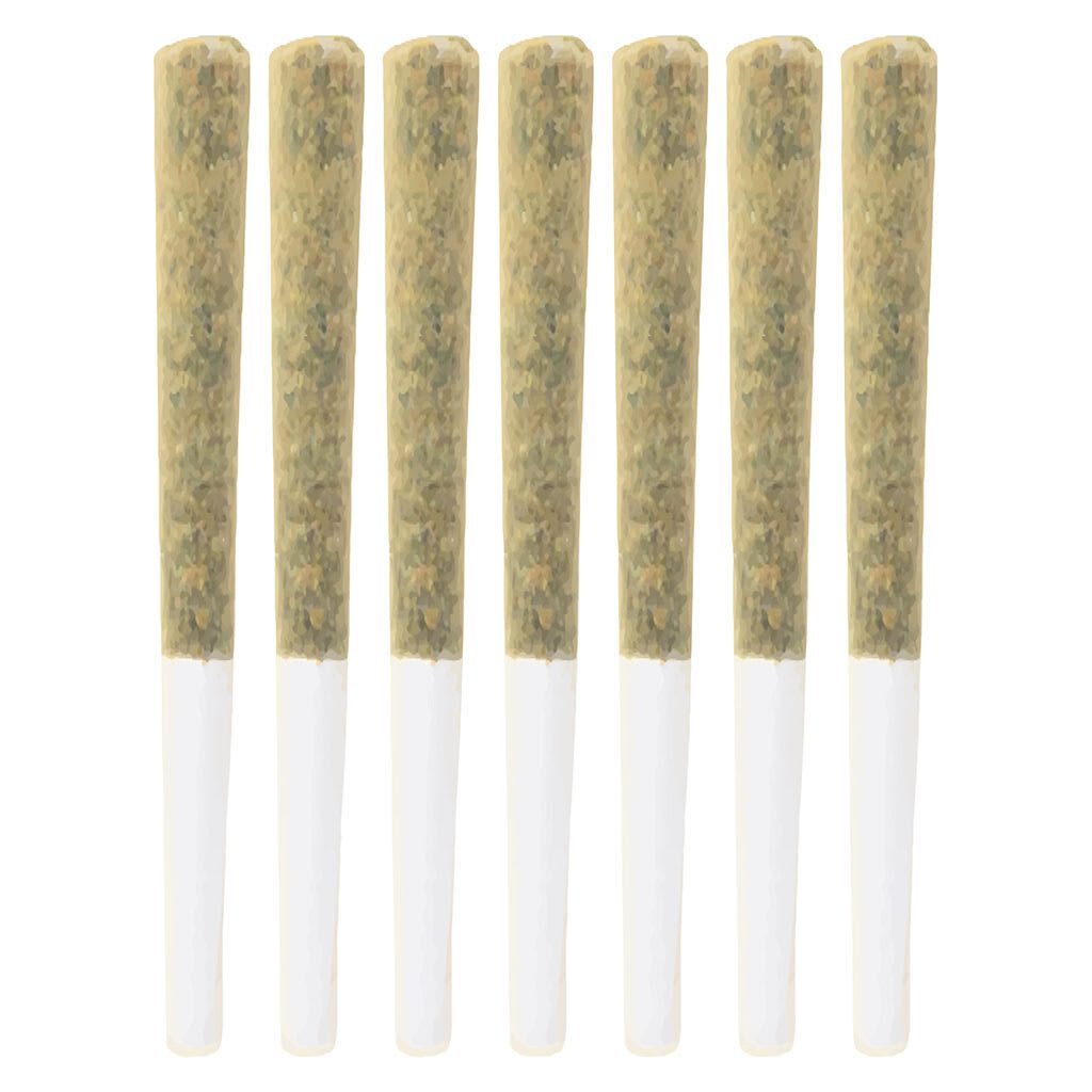 Craft Batch Pre-Rolls 7 Pack by Symphony