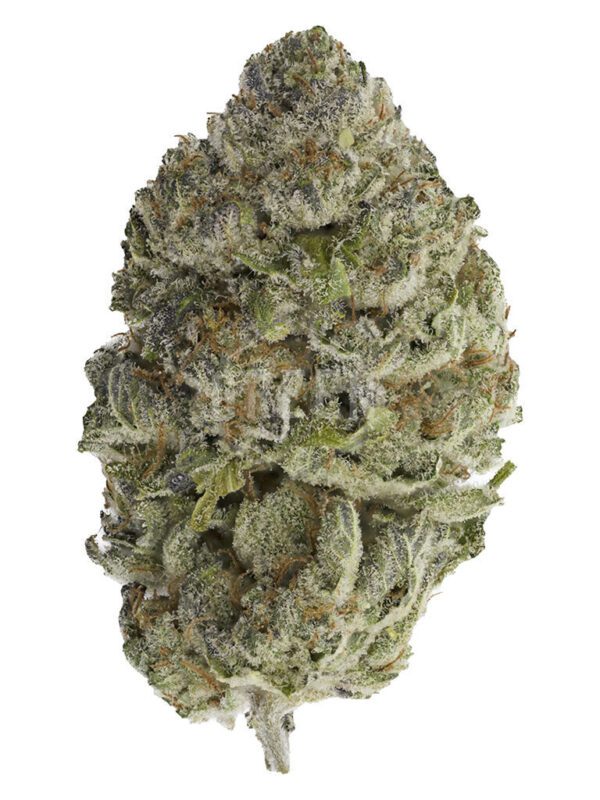 Bluefin Tuna 28g by Sheeesh!