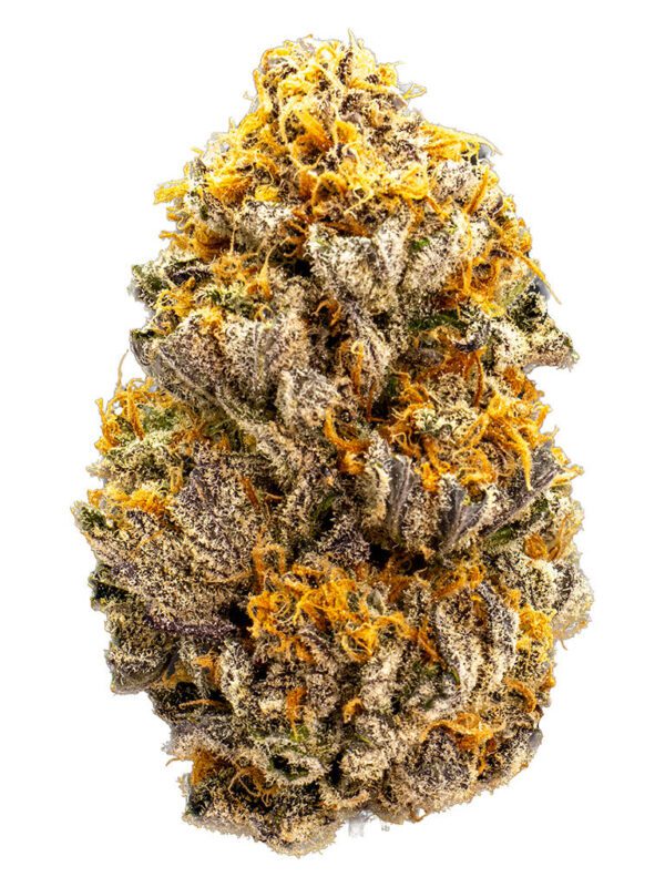 Mini Shinken 7g by WAZA