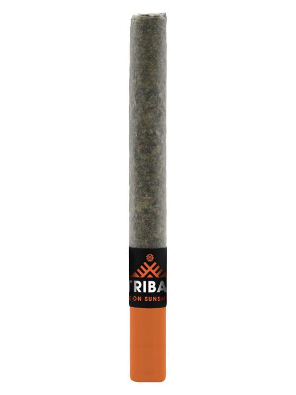 Neon Sunshine Ceramic Tip Pre-Roll Single <br>Hybrid <br>29.9% | 2.60% Terps