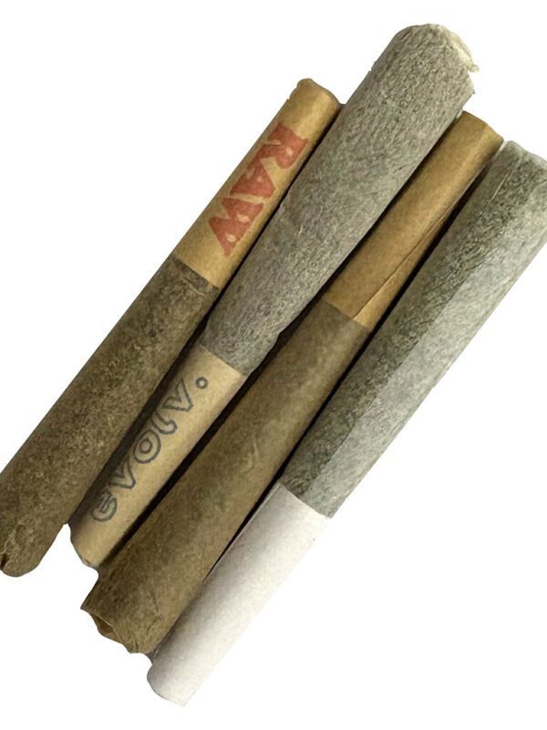 Shuffle 4-Pack of J's Pre-Rolls by High Note