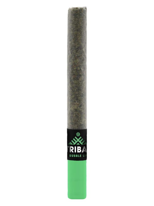 Bubble Up Ceramic Tip Pre-Roll Single by Tribal