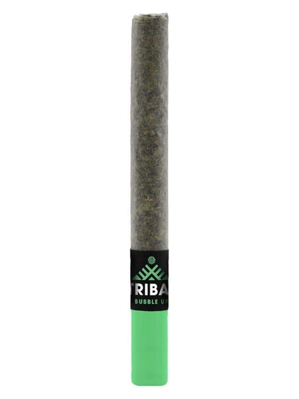 Bubble Up Ceramic Tip Pre-Roll Single by Tribal