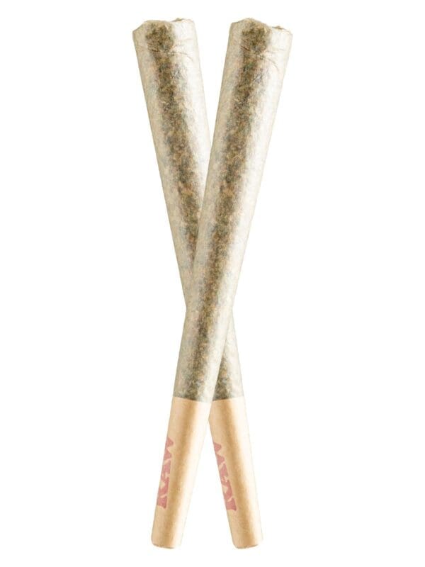 Rocketman Preroll 2 pack by Vibe