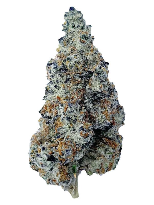 Slurriboof 7g by The Florist