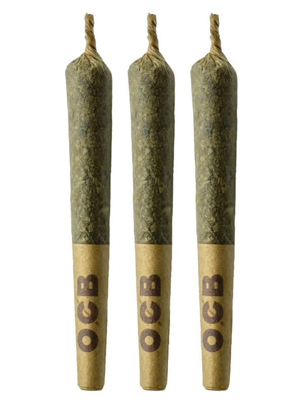 Strawberry Gary Pre-Rolls by Coterie