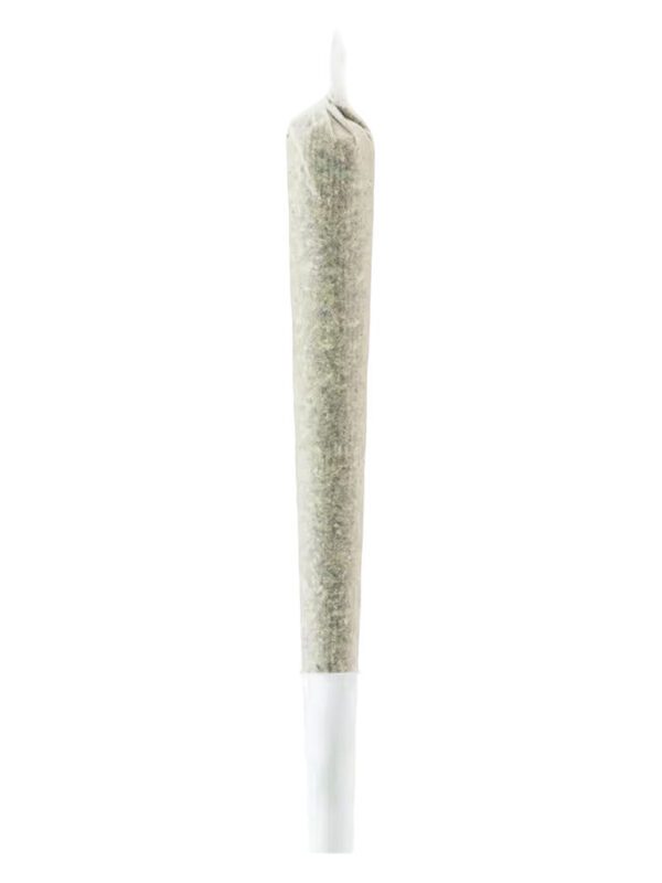 Indica Baseball Bat Pre-Roll Single by CHUB'S
