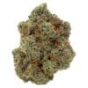 Bubblegum 28g Big Bag by Queen of the Underground