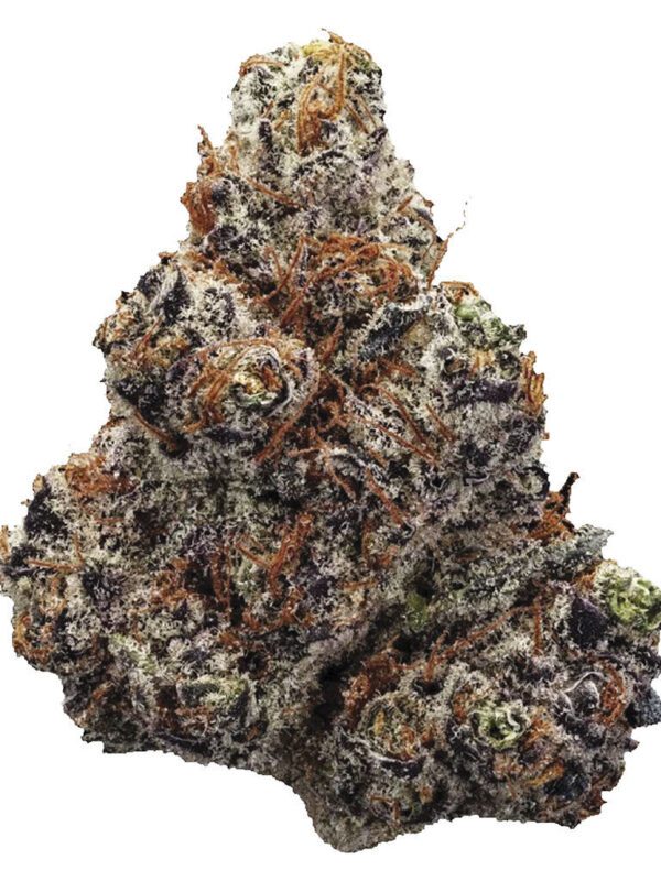 Northern Lights 28g by Station House