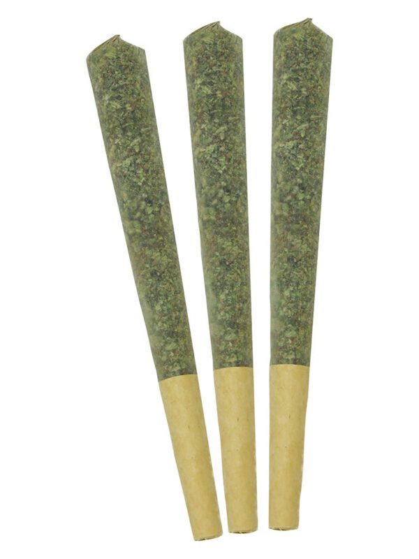Stratford's Craft Experience Pre-Rolls 3 Pack by Little Leaf