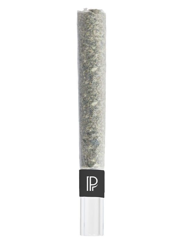 Pink Goo Bubble Hash Infused Pre-Roll Single by Pistol and Paris