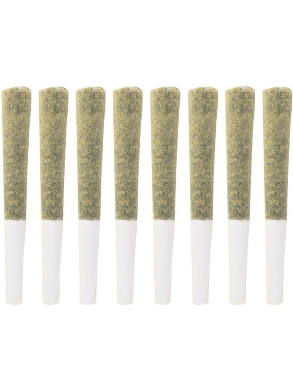 Exotic Gas Pre-Rolls 10 Pack by The Loud Plug
