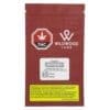 HempStick: Warming Cinnamon Ginger 30g by Wildwood Labs