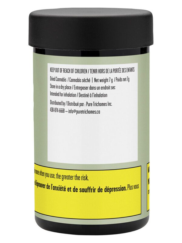 Runtz OG 7g by Ste-Mari