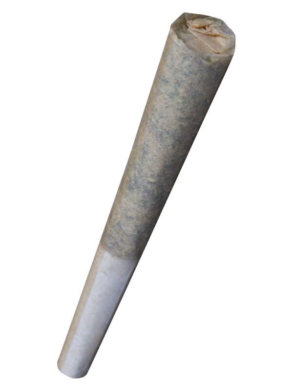 Sage n' Sour Pre-Rolls 10 Pack by MTL