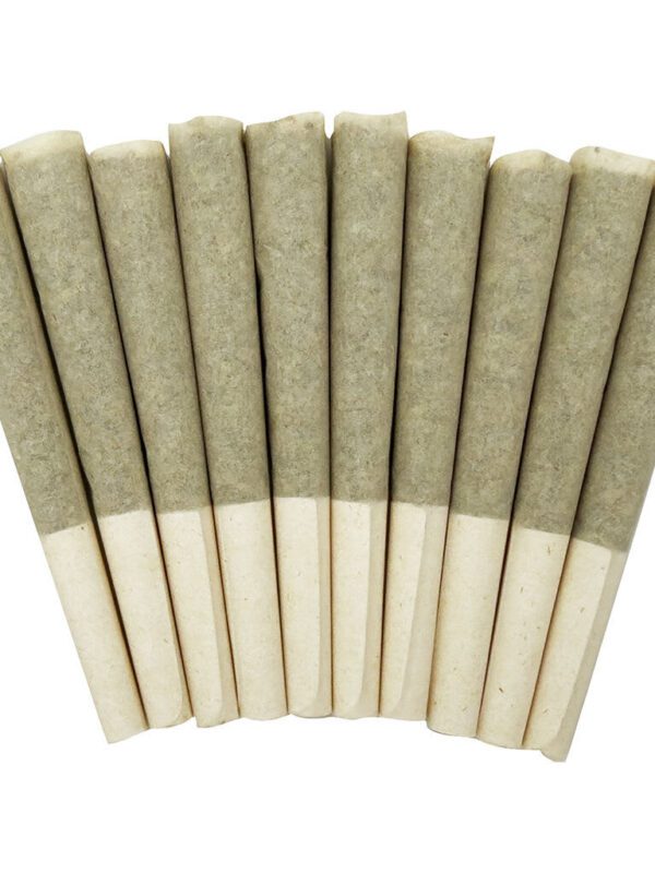 Storm Pre-Rolls 10 Pack by SKOSHA