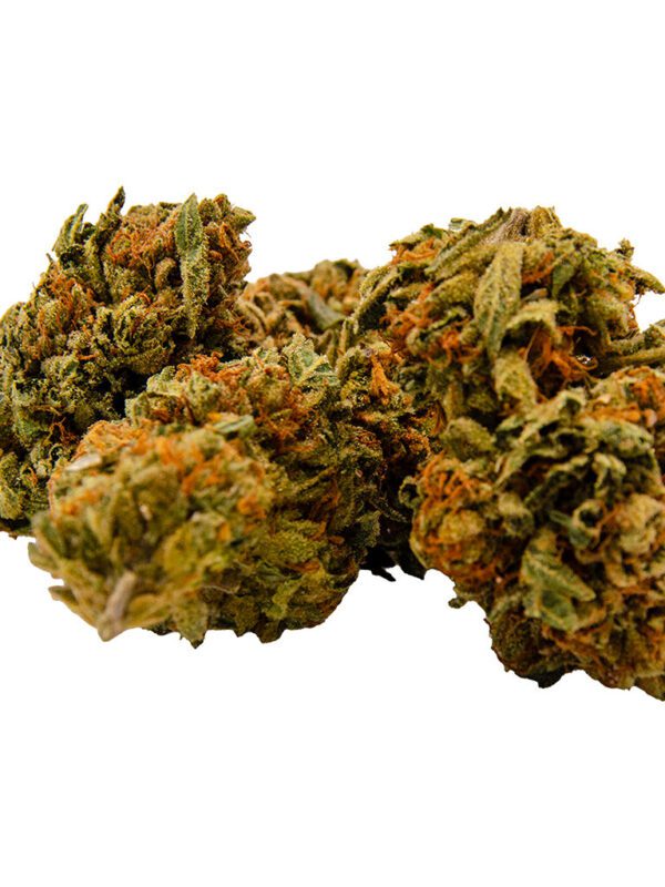 Gorilla Zkittlez 7g by Green Mountain