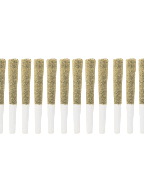 Platinum Punch Pre-Rolls 14 Pack The Loud Plug