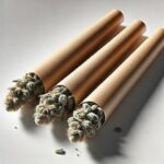 premium-indica-prerolls-canada-montrose