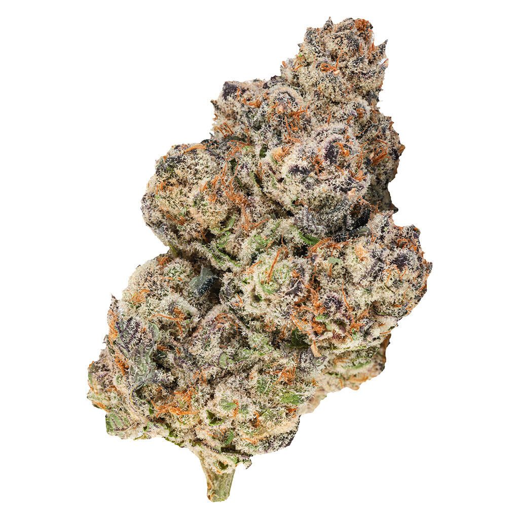 Sticky Bath 7g by Tenzo