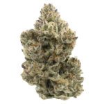 Pineapple Bang 14g by Northern Canna