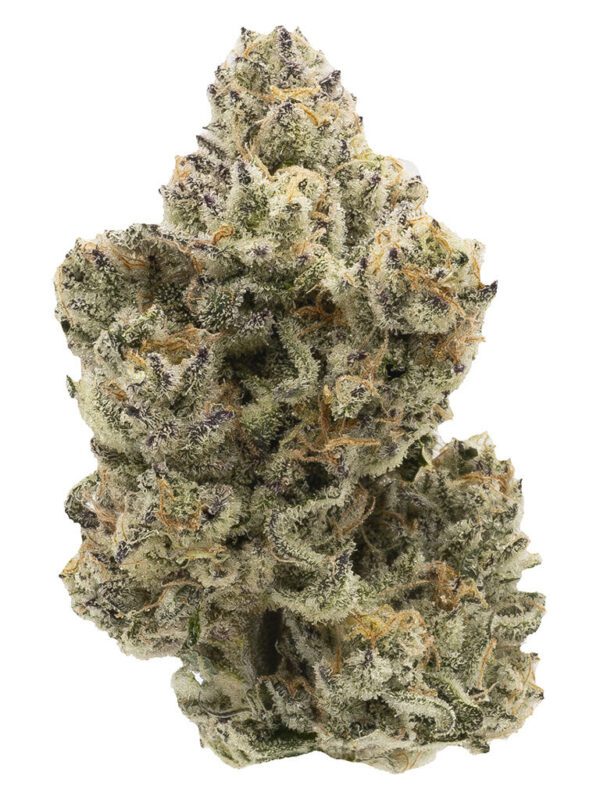 Pineapple Bang 14g by Northern Canna