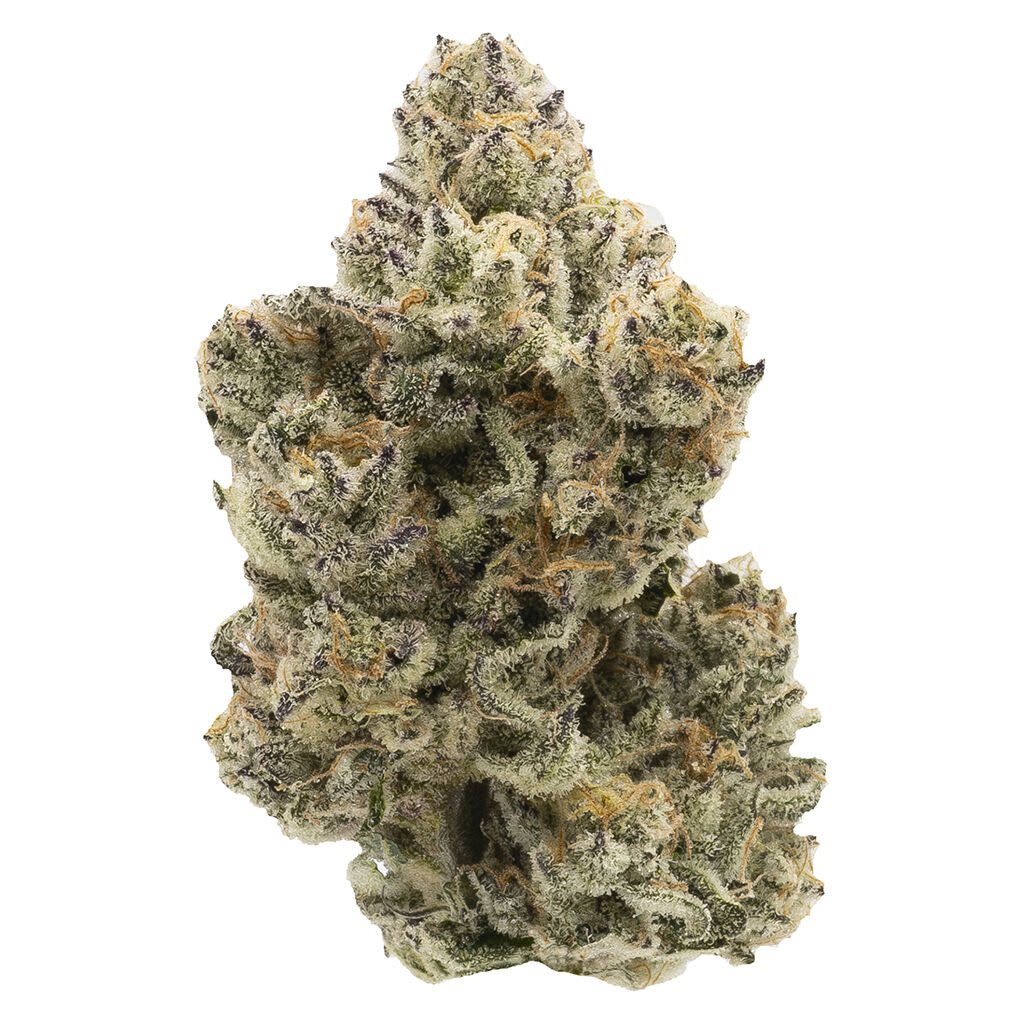 Pineapple Bang 14g by Northern Canna