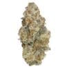 Astronaut Status 3.5g Carmel Hybrid