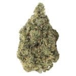 Bubblegum Marker 14g by Carmel Indica