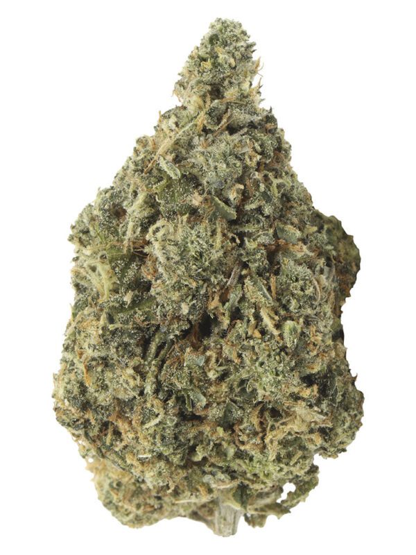 Bubblegum Marker 14g by Carmel Indica