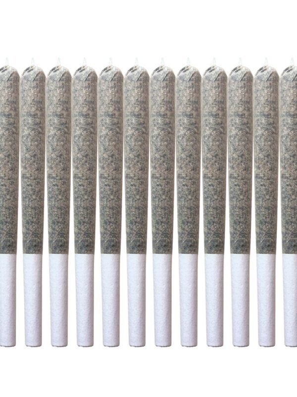 Miami Daze(Guru) Pre-Rolls 14 Pack <br>Sativa <br>28.13%
